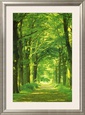 Hein Van Den Heuvel Posters