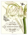 Bees (Decorative Art) Posters