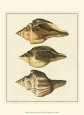 Daniel Diderot Posters