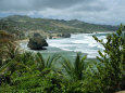 St. Joseph Parish Stacks on Bathsheba Beach, Barbados, Caribbean, West Indies, Central America