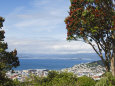 Oriental Bay and Wellington Harbour, Wellington, North Island, New Zealand, Pacific
