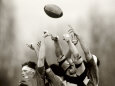 Rugby Pósteres