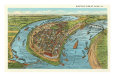 Bird's Eye View of Cairo, Illinois