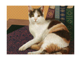 Calico Cat with Books