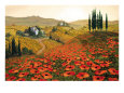 Countrysides Posters