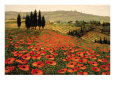 Platteland (decoratieve kunst) Posters