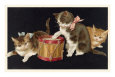 Kittens with Drum