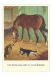 Horse and Cats are Good Friends