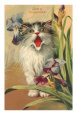 Iris Eloquence with Kitten