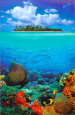 Photographies couleur d'îles Affiches