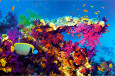 Ocean Views Pósteres