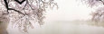 Panoramic Landscapes (Photography) Posters