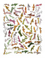 Stamped Shoes, c.1959 Giclée-Druck von Andy Warhol