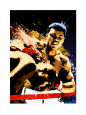 Boksning, kunst Posters