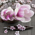 Floral & Botanical (Color Photography) Posters