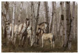 Steve Hunziker Posters
