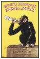 Carlo Biscaretti Posters