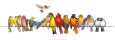 Canaries Affiches