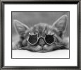 Kool Kat I
