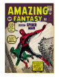 Spider-Man (Marvel Vintage) Posters