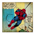 Spider-Man Panel Posters