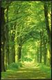 Hein Van Den Heuvel Posters