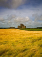 Cistercian Dunbrody Abbey Beyond Barley Field, County Wexford, Ireland Photographic Print