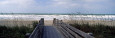 Coastal Panoramas Posters
