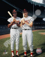 Brooks Robinson Posters