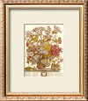 Floral & Botanical (Framed) Posters