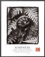 Bondade Posters