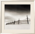 Wind-Swept Beach