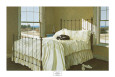 Chambres (art décoratif) Posters