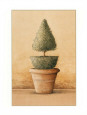 Potted Plants (Decorative Art) Posters