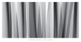Feuilles (photographies noir et blanc) Affiches