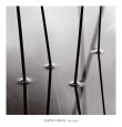 Botanical Close-Up (B&W Photography) Posters
