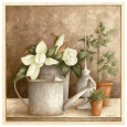 Watering Cans (Decorative Art) Posters