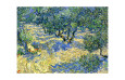 Olive Trees (van Gogh) Pósteres