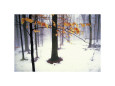 Photographies couleur de forêts enneigées Affiches