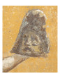 Femmes Posters