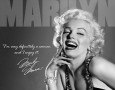 Celebrity Wall Signs Posters