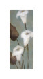 Onan Balin Posters