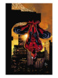 Spider-Man Posters