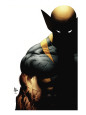 Marvel Collection Covers Posters