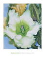 Green Flowers (Fine Art) Posters