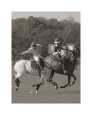 Polo Posters