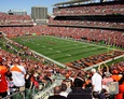 Cincinnati Bengals Poster