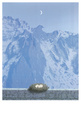 Nests Posters