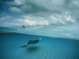 Landschappen (Natl. Geo.) Posters