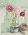 Natures Mortes Florales (Photographies) Posters